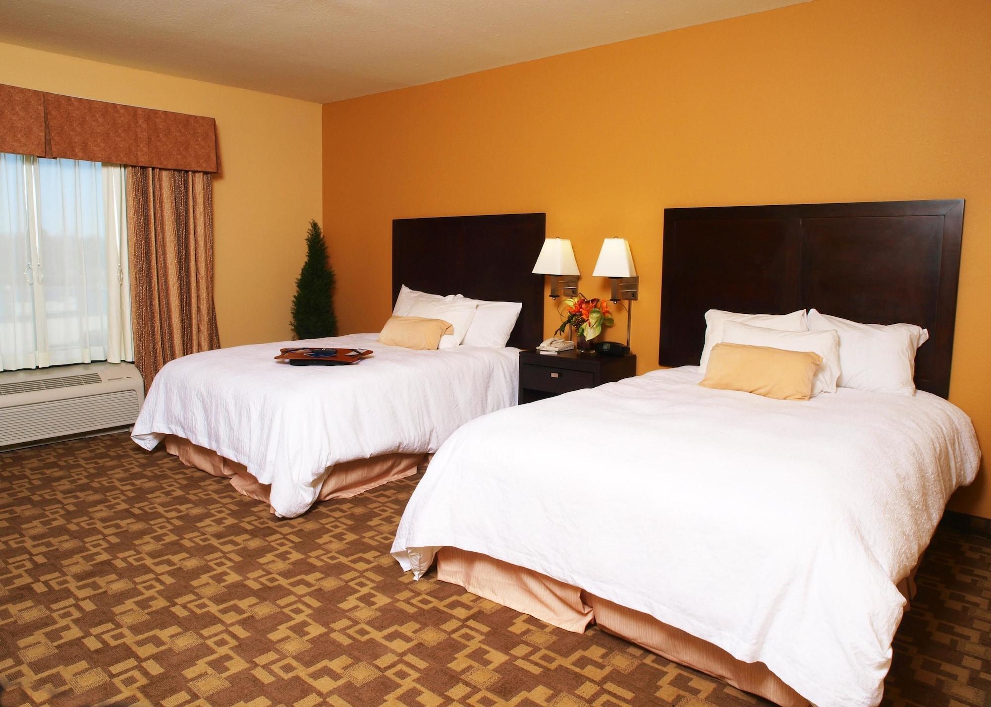 Hampton Inn & Suites-Knoxville/North I-75 Værelse billede